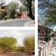 Large trees provide shade for sidewalks and trees in Civano, Arizona.