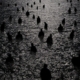 Many dark figures wade in the moonlit water in a black-and-white photo.
