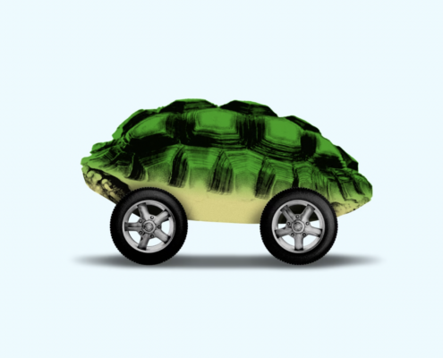 Turtle on wheels