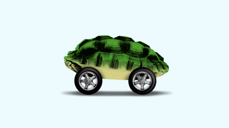 Turtle on wheels