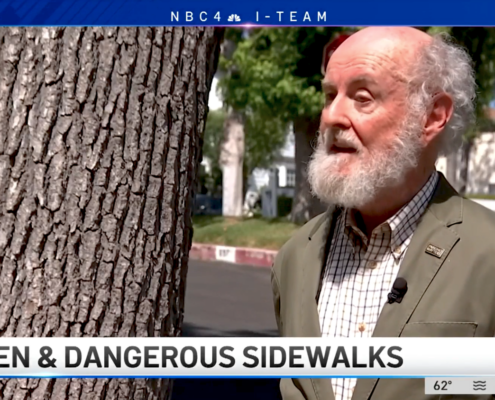 Man with white beard outdoors next to tree