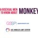 multicolored text reading "What Gay and Bisexual Men Need to Know About Monkeypox"