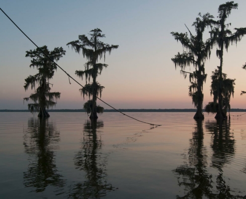 Trees are submerged in water at sunset after flooding of Lake Verret in Louisiana in 2017.