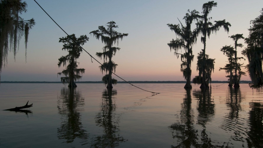 Trees are submerged in water at sunset after flooding of Lake Verret in Louisiana in 2017.