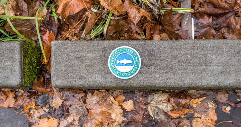 stormwater management logo