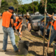 people with shovels in orange vests plan trees near a roadway