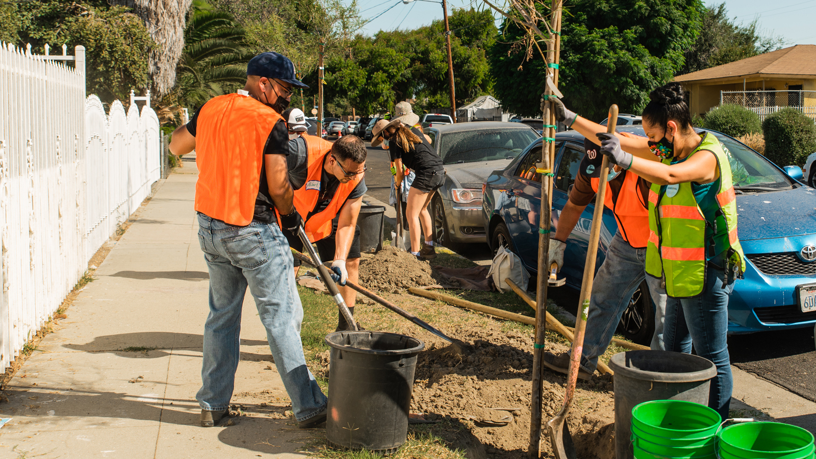 people with shovels in orange vests plan trees near a roadway
