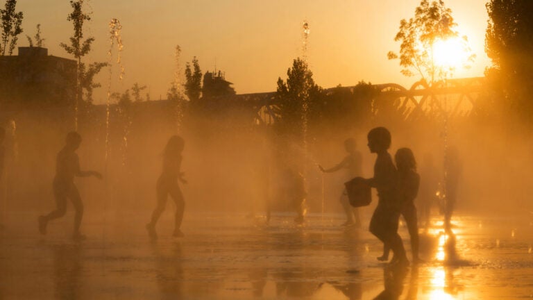 childen play amid fountains on a sunny day
