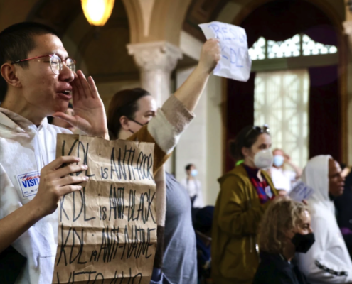 protesters at city council meeting