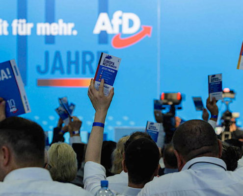 crowd at Germany political gathering