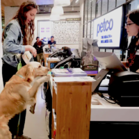 Pet owner and dog at pet store counter