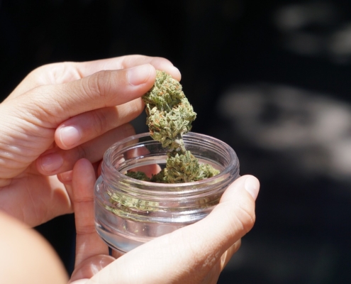hand picking cannabis flower from glass jar
