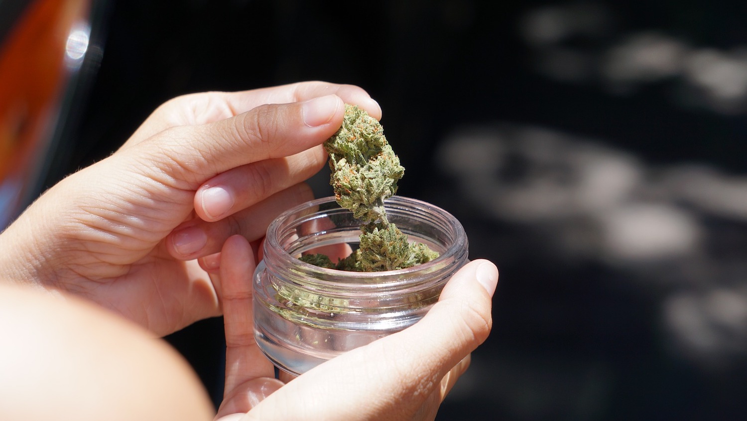 hand picking cannabis flower from glass jar