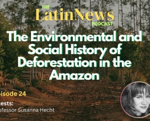 text is superimposed over an image showing an area where trees have been cut