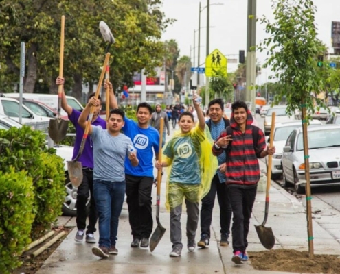 team of tree-planting volunteers with shovels
