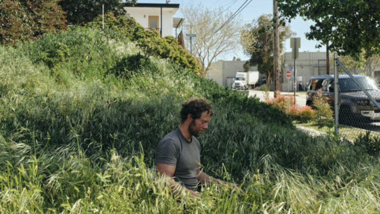 man sitting in tall grasses next to street