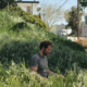 man sitting in tall grasses next to street