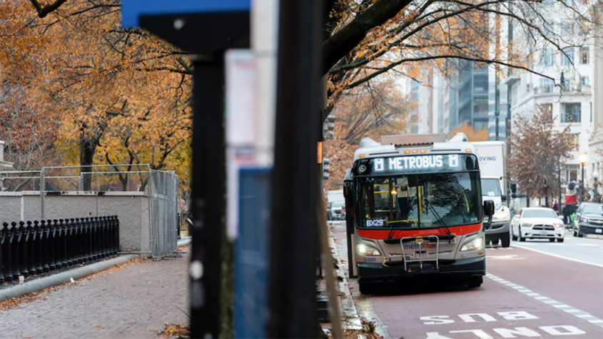 city bus on street