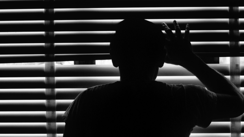 silhoutette of person looking through window blinds