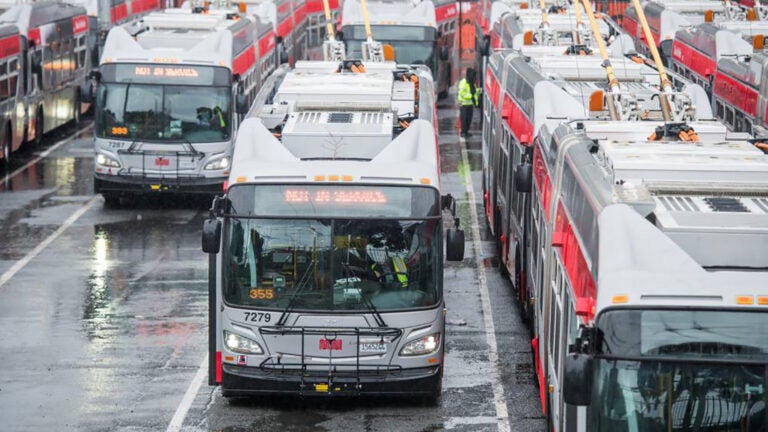 Image of buses.