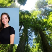 Headshot of student Margaret Saunders who is a masters in public policy student in front of a photo of redwood trees