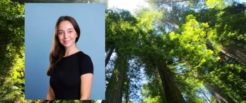 Headshot of student Margaret Saunders who is a masters in public policy student in front of a photo of redwood trees