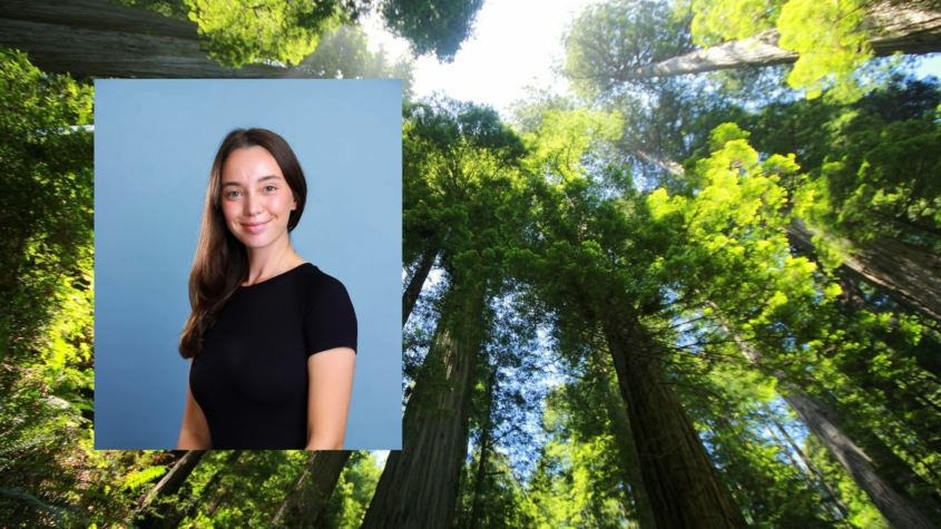 Headshot of student Margaret Saunders who is a masters in public policy student in front of a photo of redwood trees