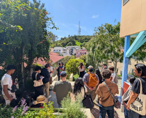 Urban planning students on a tour of the Solano Canyon neighborhoods observing fire hazards, overgrown grasses and invasive eucalyptus trees.