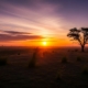 African desert landscape shot shows sunset in the background/