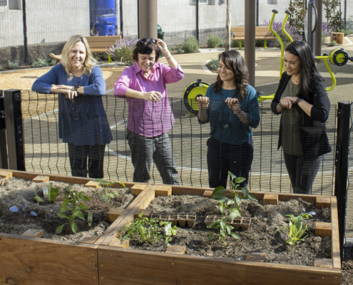 Anastasia and her research team stand over a raised garden bed at the Golden Age Park in Westlake.