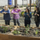 Anastasia and her research team stand over a raised garden bed at the Golden Age Park in Westlake.
