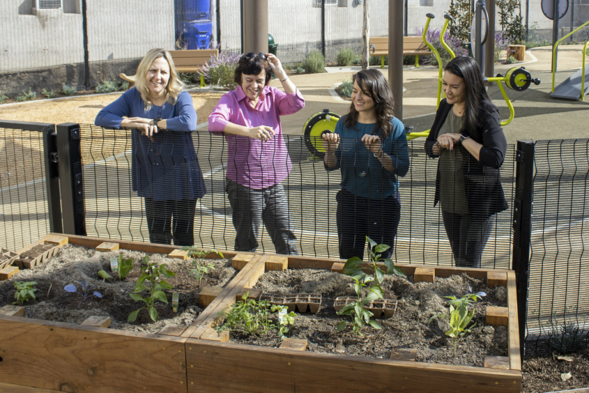 Anastasia and her research team stand over a raised garden bed at the Golden Age Park in Westlake.