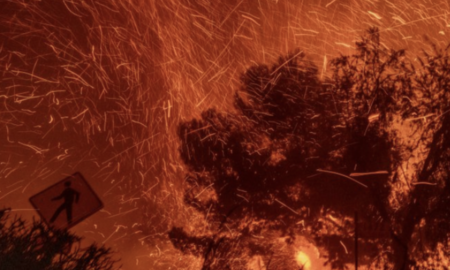 Critically Assessing the Idea of Wildfire Managed Retreat