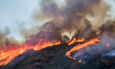 Fire Research