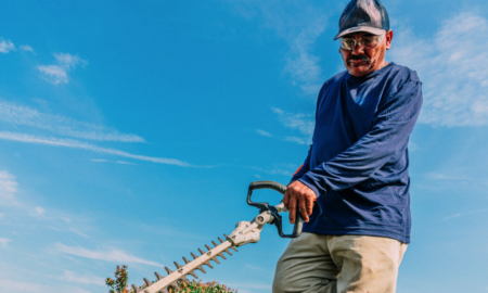 Man grooming the grass