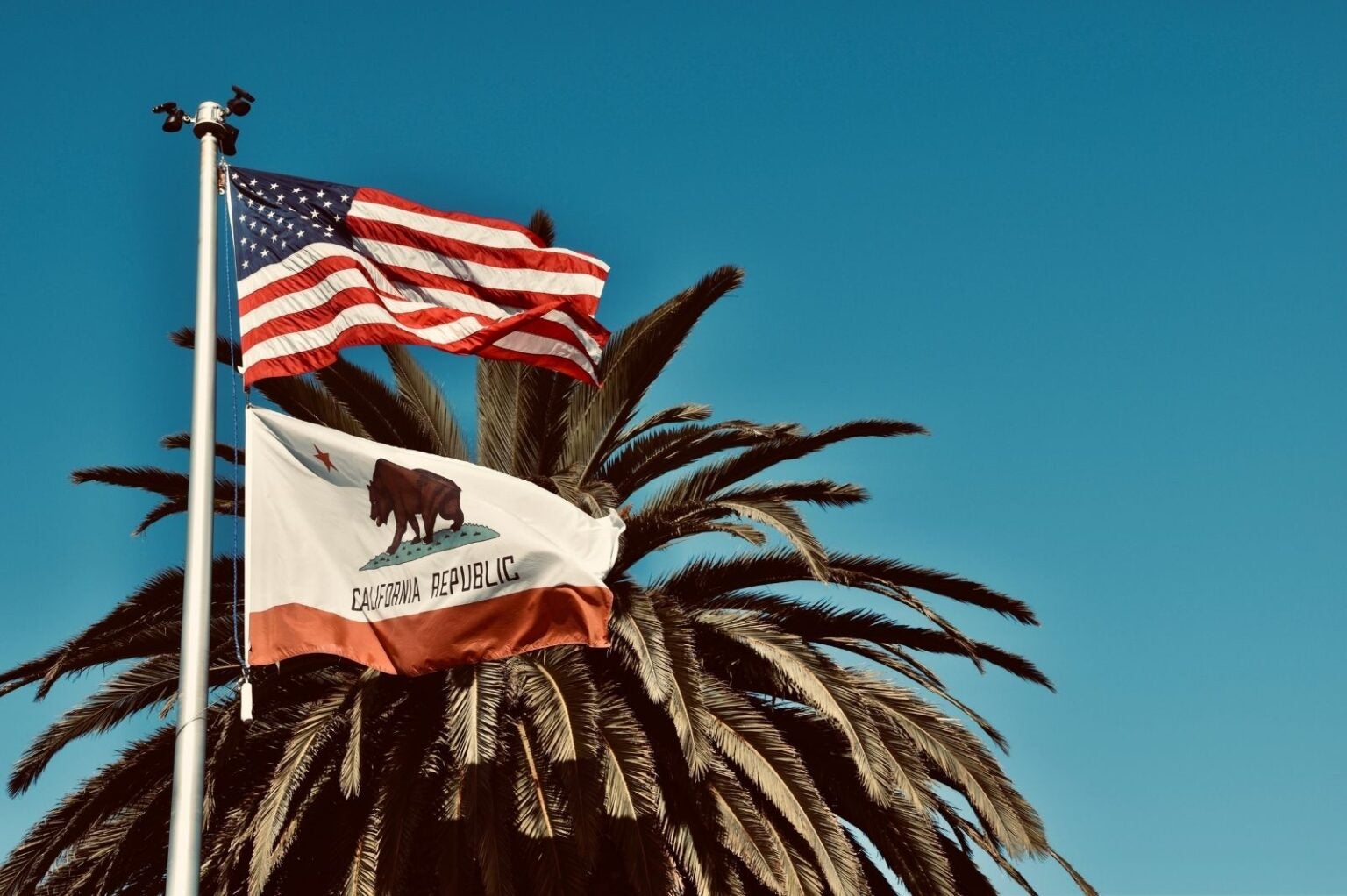 American flag and the California flag flying on a flag pole in front of a palm tree