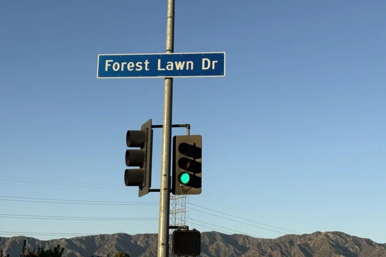 Photo of traffic light with the street sign "Forest Lawn Drive" on it.