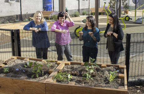 Anastasia and her research team stand over a raised garden bed at the Golden Age Park in Westlake.