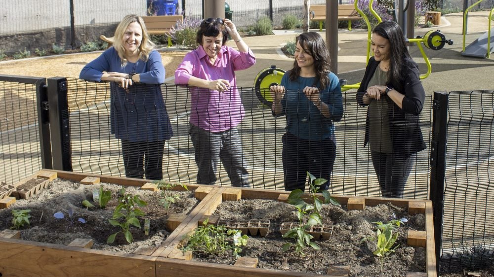 Anastasia and her research team stand over a raised garden bed at the Golden Age Park in Westlake.