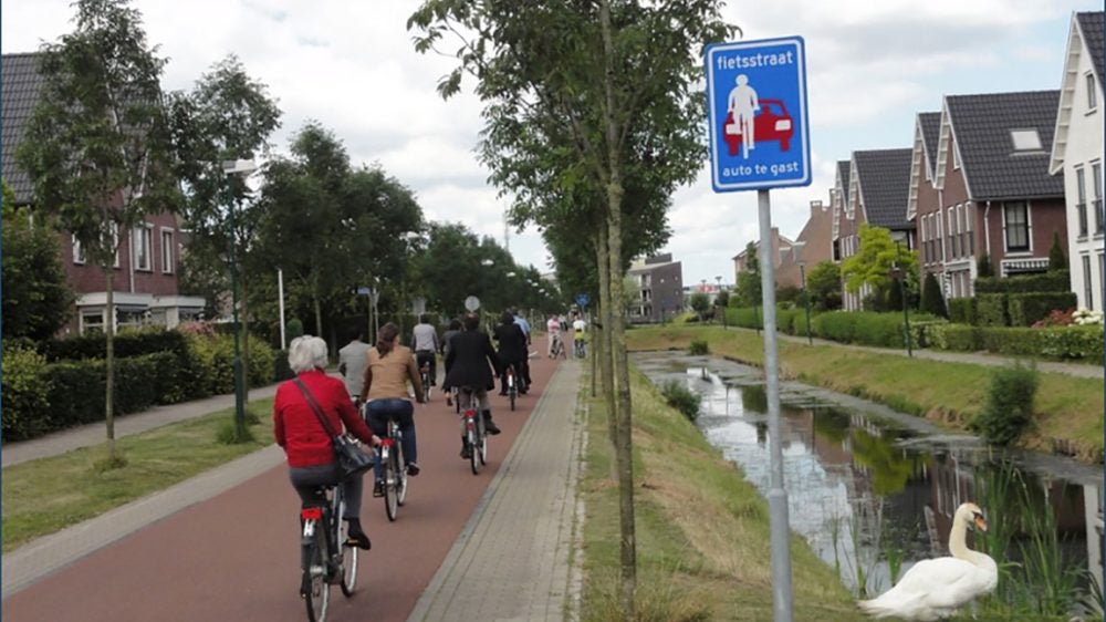 Cyclists on bike path.