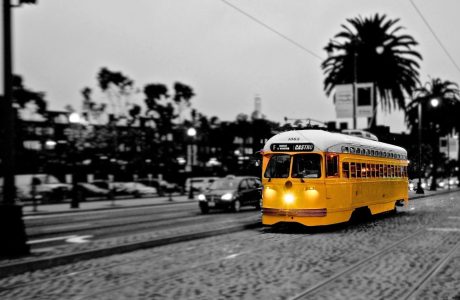 Photo by Philip Base / Pixabay