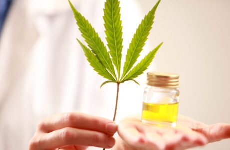 Cannabis+leaf+and+liquid