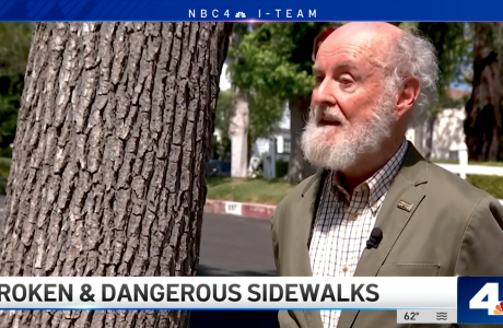 Man with white beard outdoors next to tree