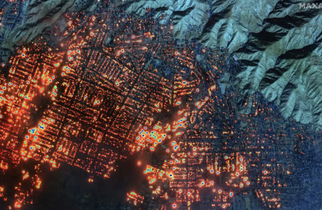 Satellite view of urban fire|pine sprout on burned ground