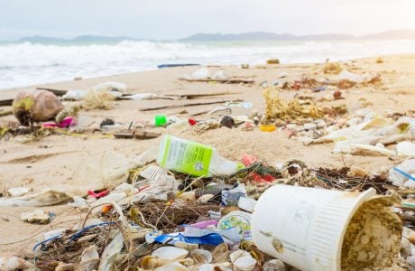 Plastic materials collect on a beach