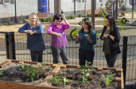 UCLA Luskin researchers, from left, Lené Levy-Storms, Anastasia Loukaitou-Sideris, Madeline Brozen and Lia Marshall admire Golden Age Park’s raised garden beds. Photo by Mary Braswell