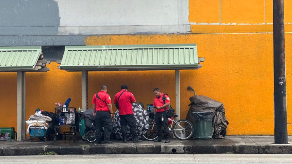 Image of bus stop shelter.