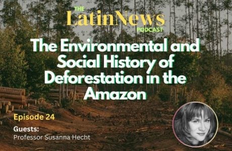 text is superimposed over an image showing an area where trees have been cut