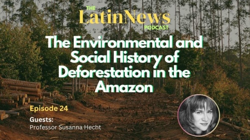 text is superimposed over an image showing an area where trees have been cut