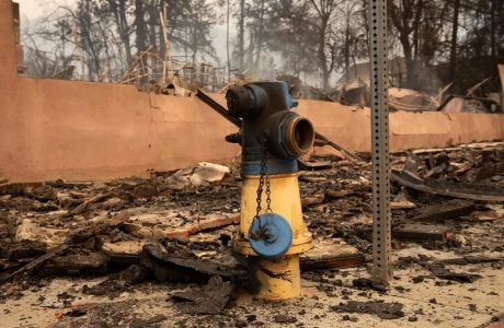 fire hydrant